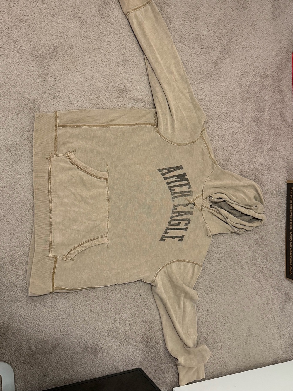 American Eagle Outfitters Tan Logo Pullover Hoodie